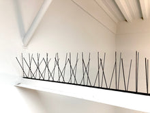 Load image into Gallery viewer, SSB5-50CM - 5&quot; Black Powder Coated Bird Spike (50cm strip)